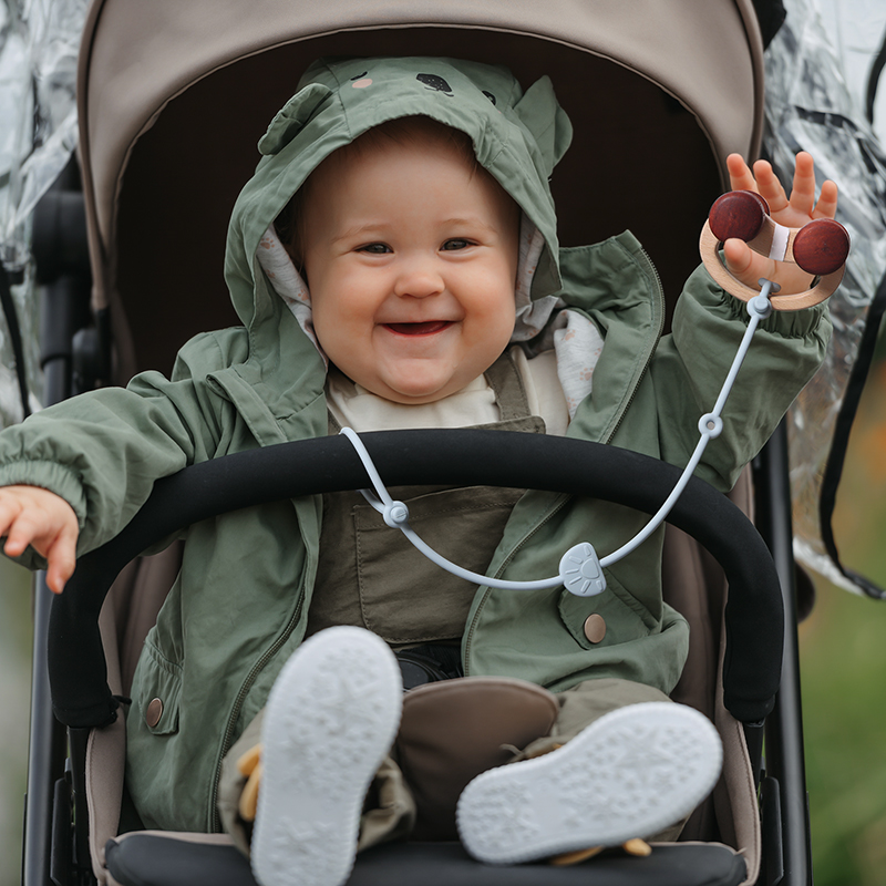 Silicone Toys Straps for Teeth - đánh giá và giá Baby Food Teether