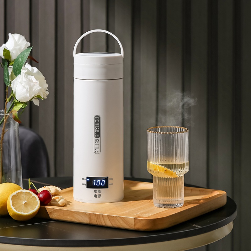 Travel Electric T Kettle Fast  - đánh giá và giá Baby Food Warmer