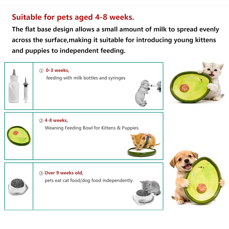 Cat Bowls Baby Cats Kittens Fo - đánh giá và giá Baby Food Kitten